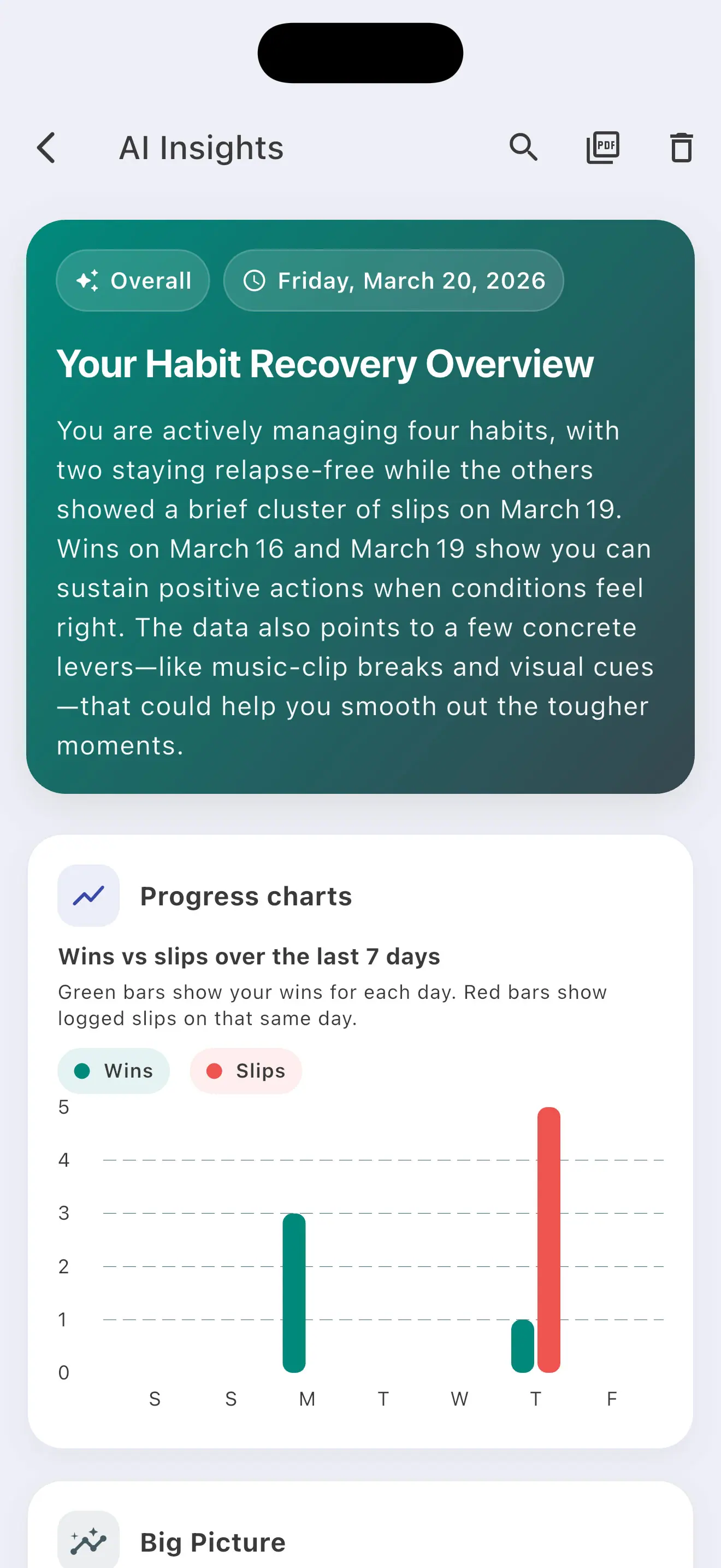 Avoid AI report detail screenshot